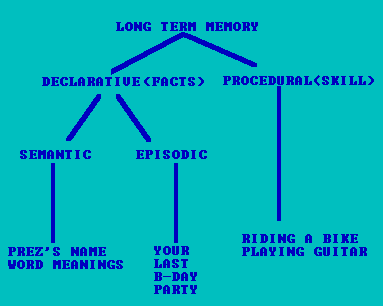 long term memory structure