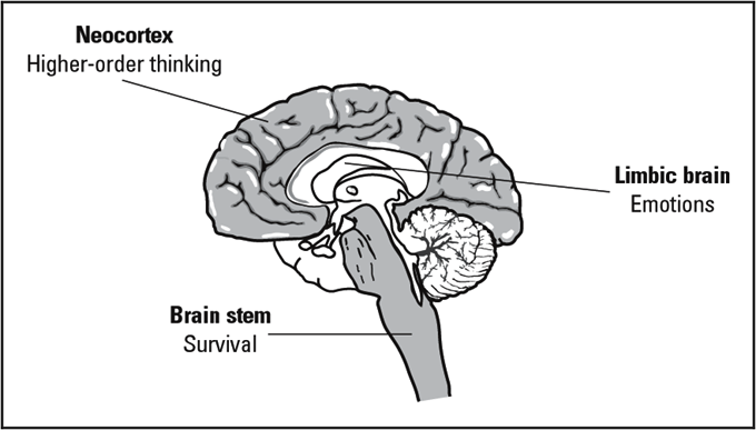 neocortex – The Book of Threes