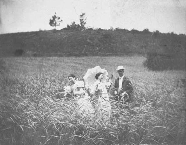 Three Friends in a Field