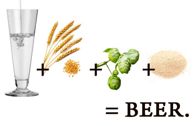 beer ingredients