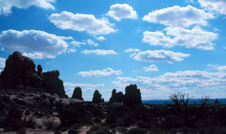 cumulus