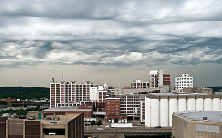 Undulus asperatus