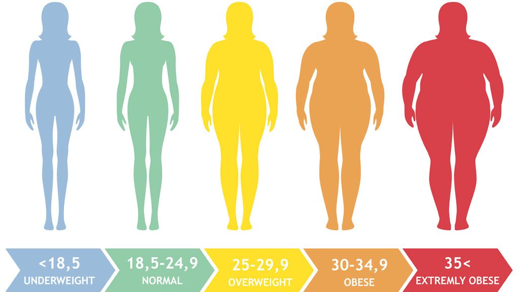 BMI Index