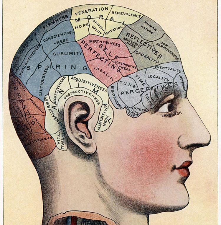 human memory