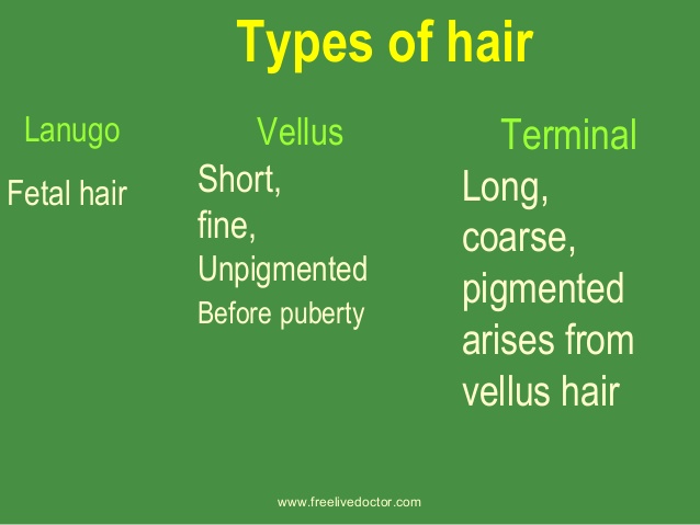 3 types of hair