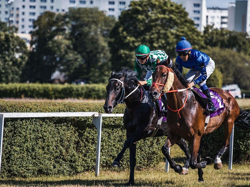 Horse racing. Photo by Aliaksei Semirski