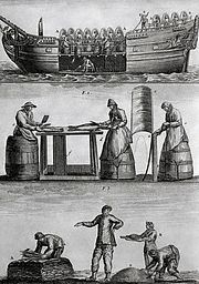 Three Panels Of Fish Industry In 1770  